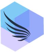 Angels partners