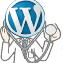 Doktor WordPress SEO