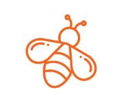 Everbee